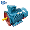 YE3 Series High Efficiency Three Phase Asynchronous Motor