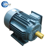 YE3 Series High Efficiency Three Phase Asynchronous Motor