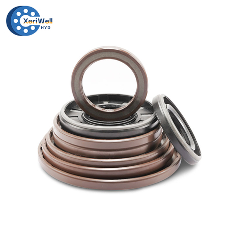 Oil Seal for Hydraulic Pump